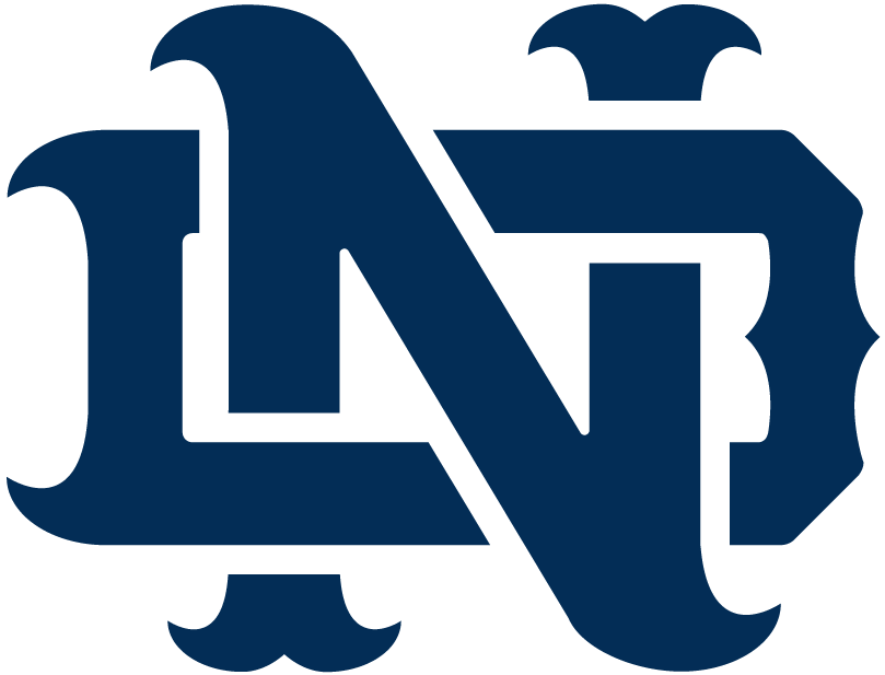 Notre Dame Fighting Irish 1994-Pres Alternate Logo v11 diy iron on heat transfer